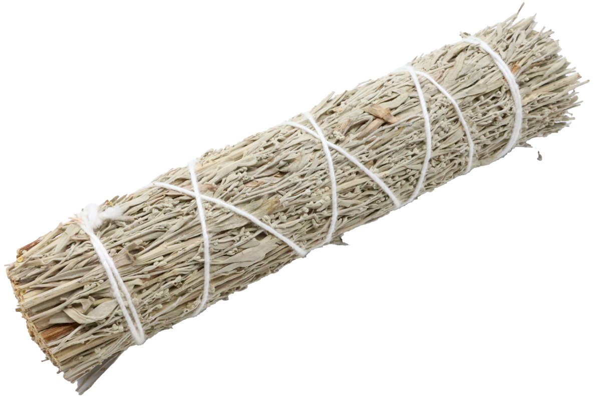 Fagotto Salvia Blu California 15 cm