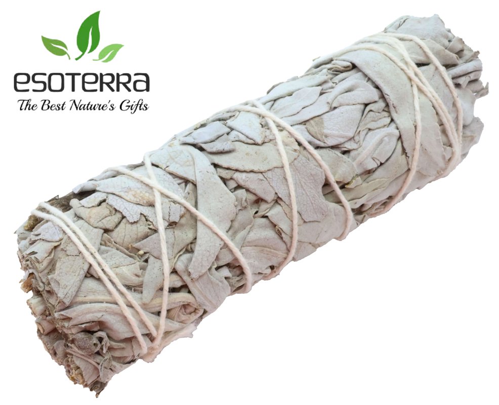 Fagotto di Salvia Bianca Apiana California 11cm 25-35g