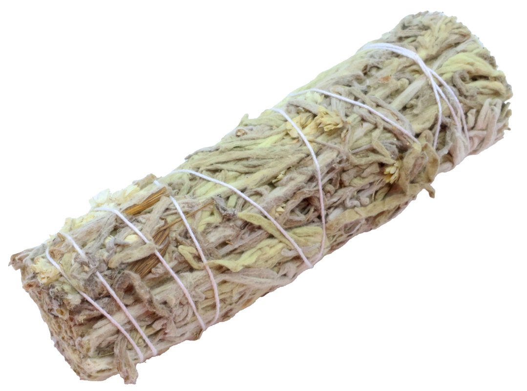 Fagotto Salvia Verde 10cm