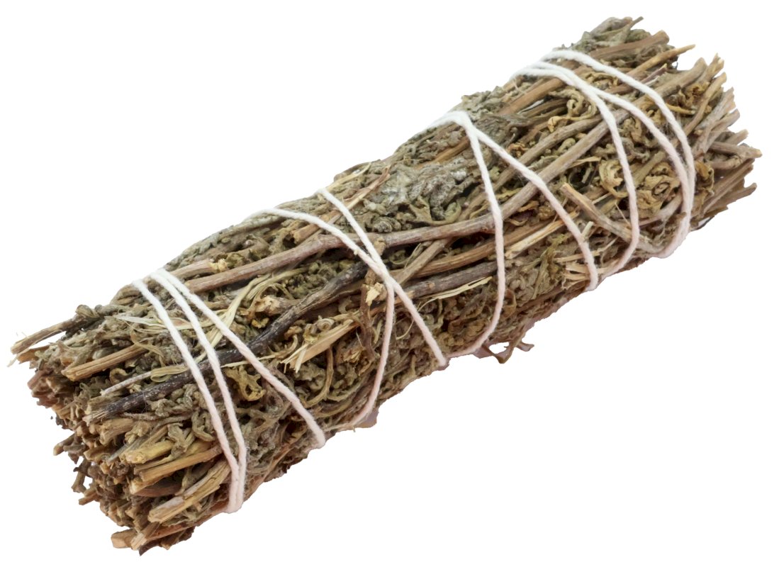 Fagotto Salvia Shasta 25g 11cm