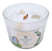 Candela Green Tree 'Crescita Interna' Pietra di Luna + Menta 256g