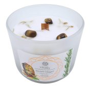 Candela Green Tree 'Vitalità' Occhio di tigre + Zenzero dolce 256g