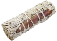 Fagotto Salvia Bianca 'Dream Sage' 25g 10 cm