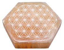 Piatto Selenite Fiore della Vita Arancio Hex 10cm