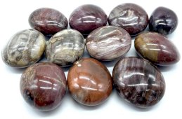 Ciottoli arrotolati di legno fossile 'A' 1 kg