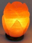 Lampe de Sel Himalaya Tulipe 3KG