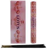 Incensi HEM Loto 20g