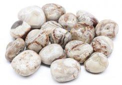 Agata Crazy Lace 'A' Australia arrotolata 200 g