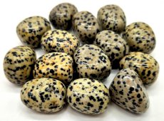 Diaspro Dalmata 'A' burattate 200g