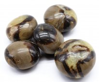 Septaria 'A' arrotolata 200g