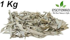 Salvia Blanca California ESOTERRA Foglie 1KG