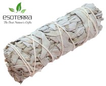 Fagotto di Salvia Bianca Apiana California 11cm 25-35g