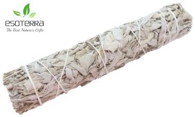 Fagotto Salvia Bianca California 80-120g 21cm