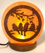 USB Lampada di Sale Uccelli 1KG