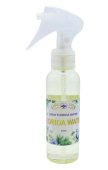 Spray Agua Florida profumo Acqua di Florida 100mL